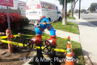 Backflow Installation and Repair